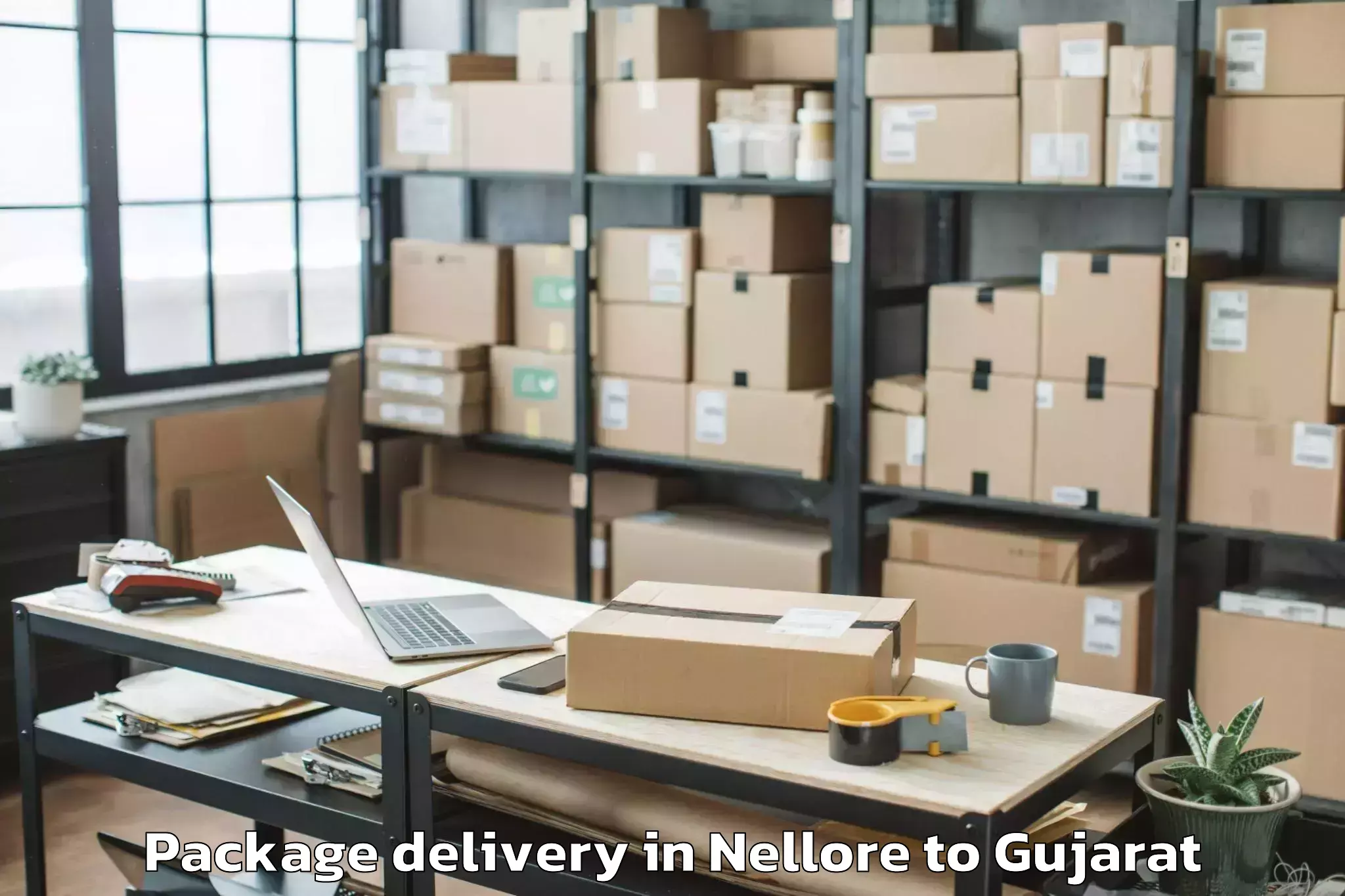 Easy Nellore to Anand Agricultural University Package Delivery Booking